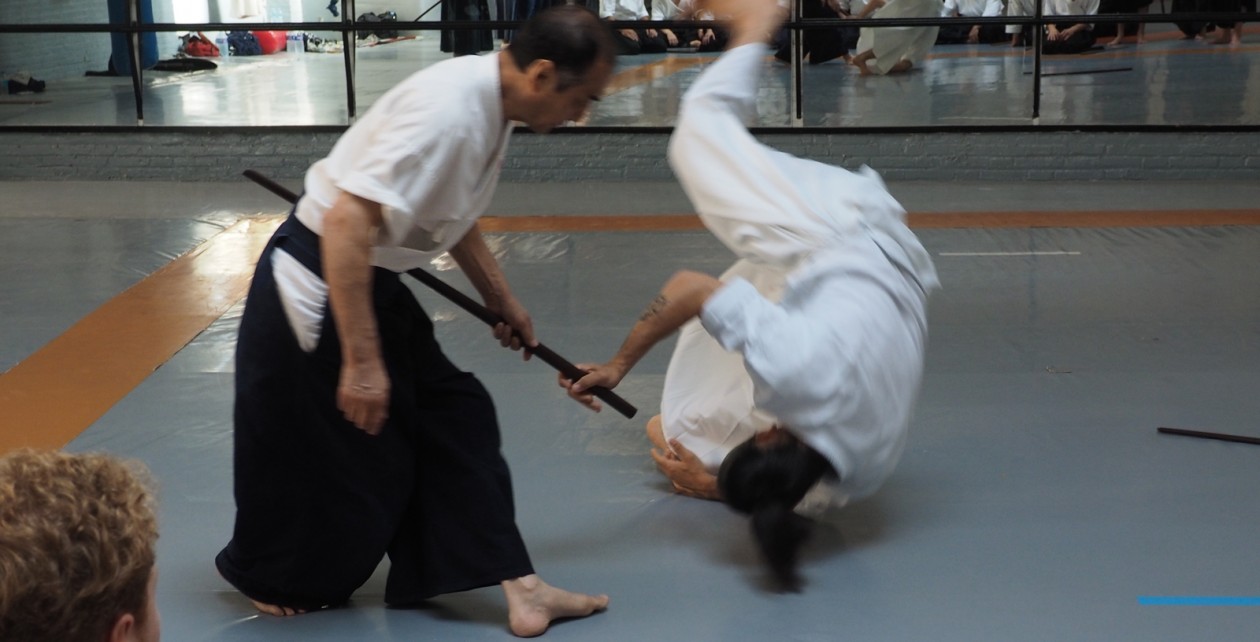 Bujutsu Densho